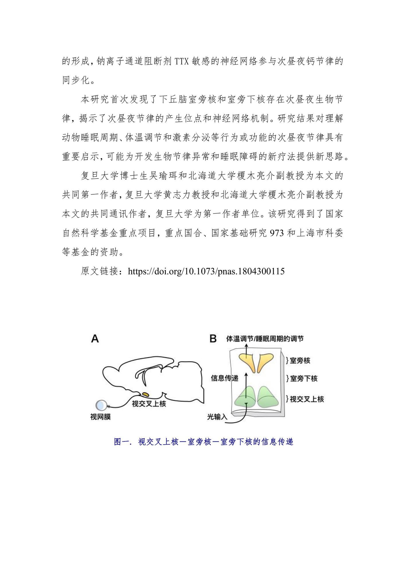 中国睡眠研究会（黄志力课题组揭示下丘脑次昼夜节律的产生位点和网络机制）_2.jpg